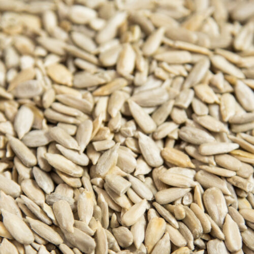Millet-Teff Bread Mix - Image 3
