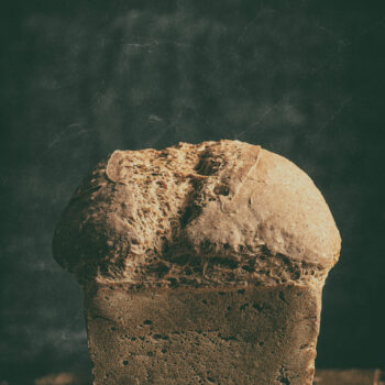 Kids' Favourite Cheese (Pain Fromage)